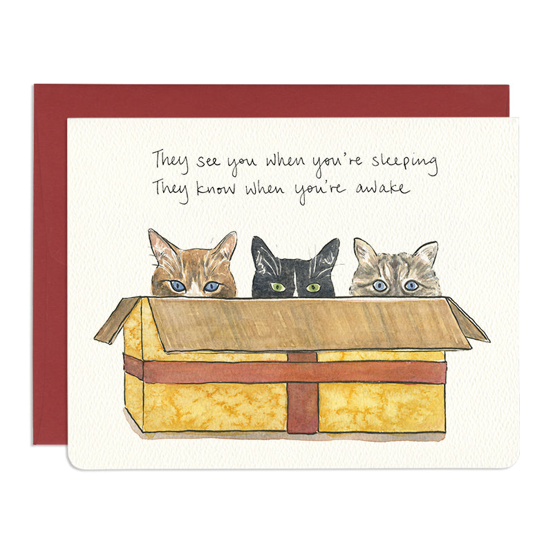 Cats in a Box Holiday Card