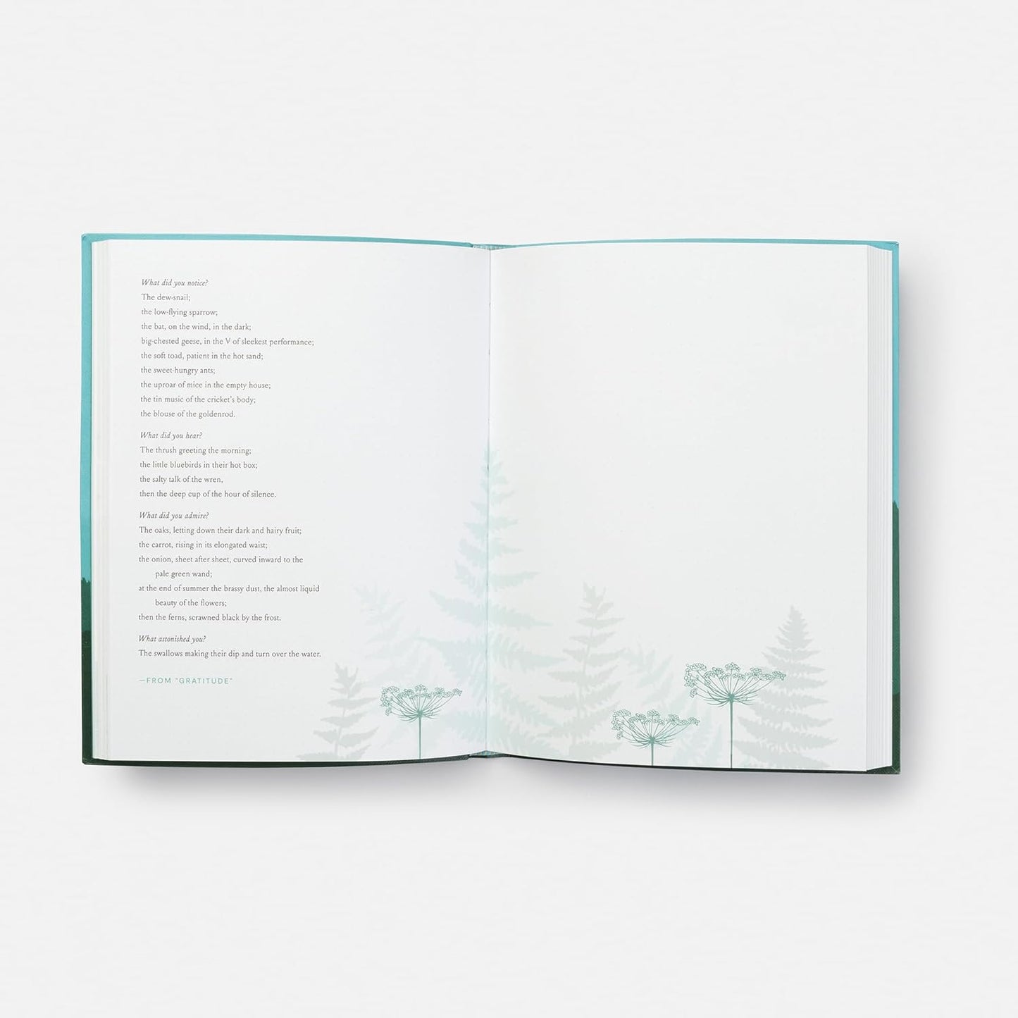 This Wild and Precious Life: A Journal