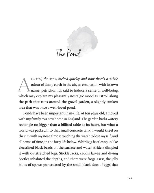 Journeys to the Nearby: A Gardener Discovers the Gentle Art of Untravelling