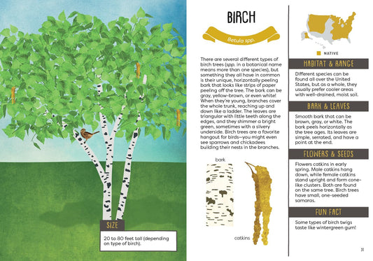 A Kid's Guide to Backyard Trees