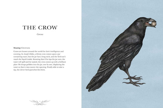 Ornithography: An Illustrated Guide to Bird Lore & Symbolism