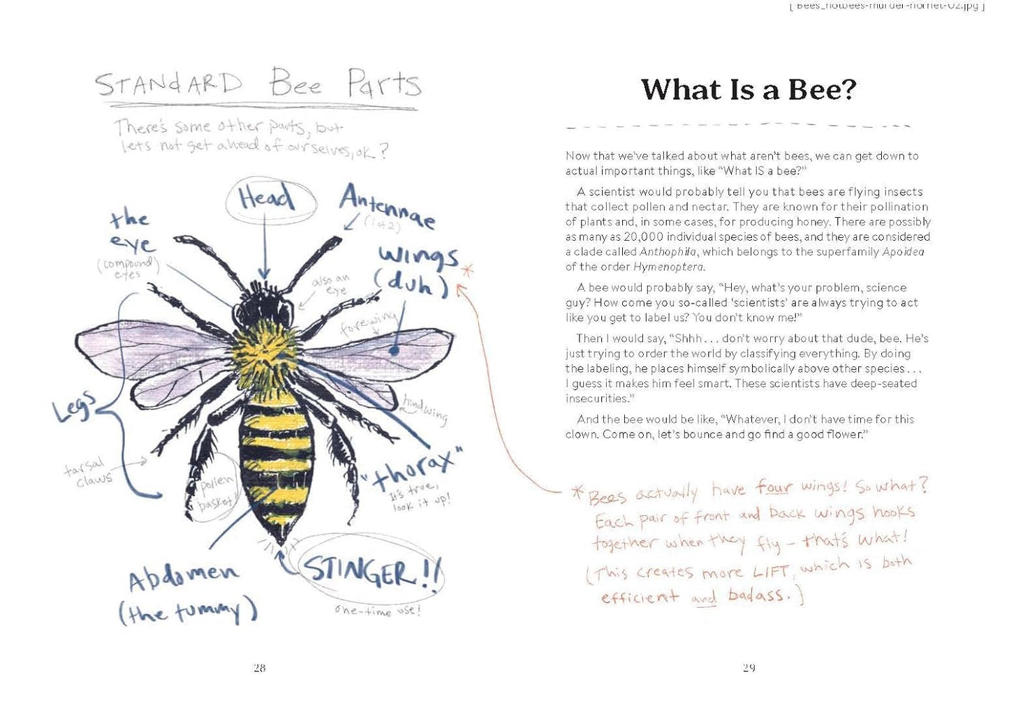OMFG, BEES!: Bees Are So Amazing and You're About to Find Out Why