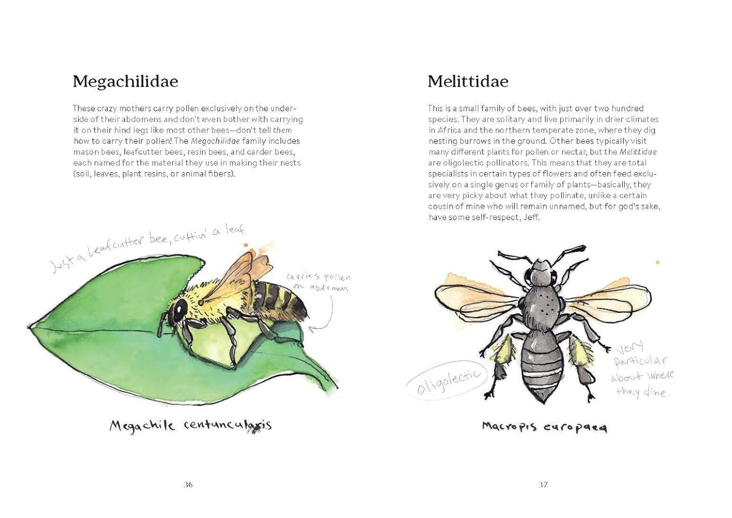 OMFG, BEES!: Bees Are So Amazing and You're About to Find Out Why