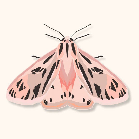 Pink Tiger Moth Sticker