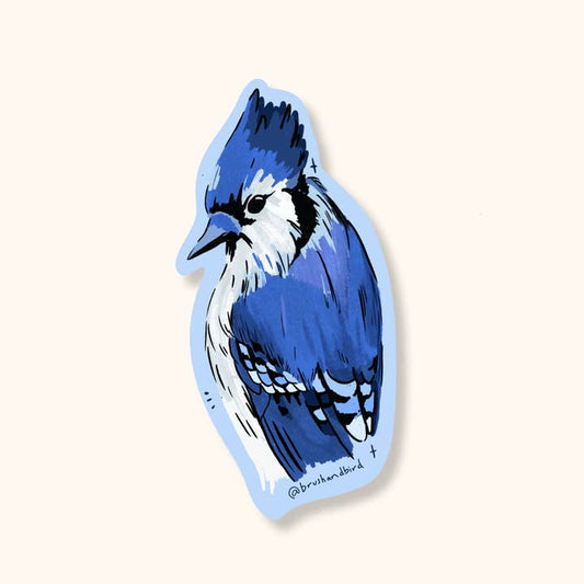 Blue Jay Sticker