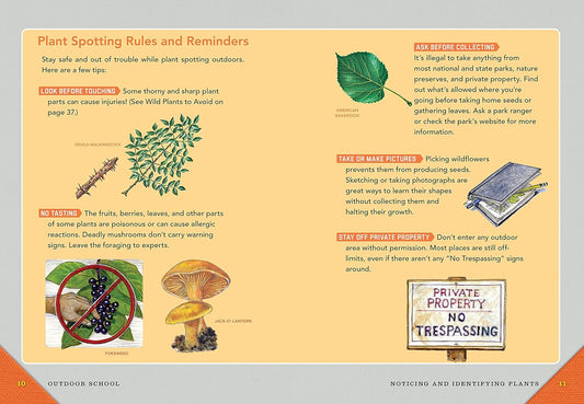 Outdoor School: Tree, Wildflower, and Mushroom Spotting