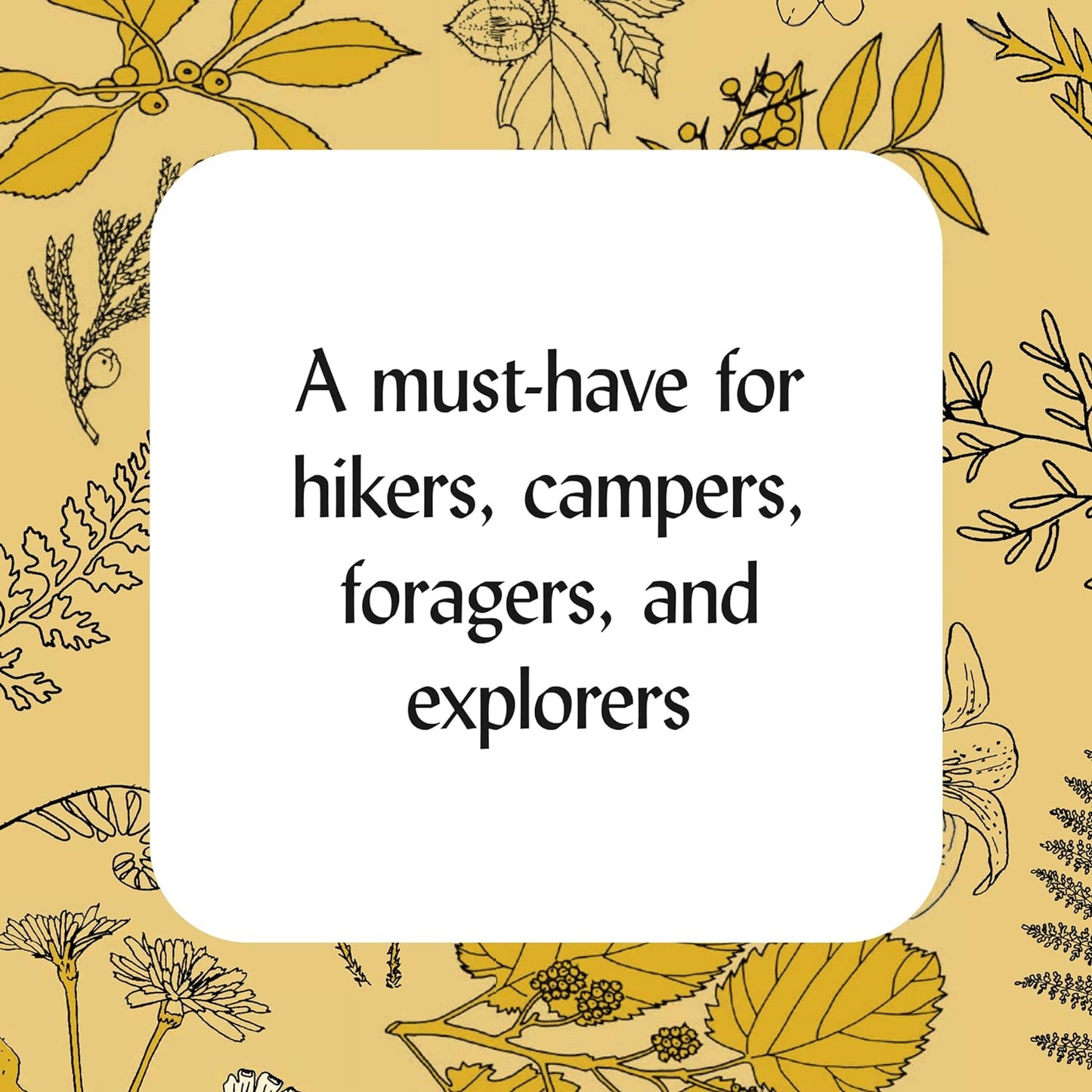 How to Read the Wilderness