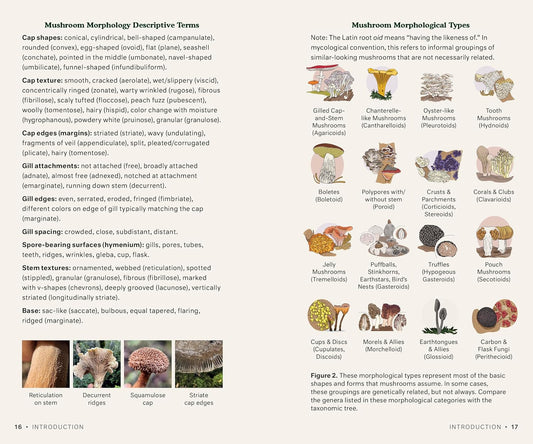 Dr. Fun Guy's Mushroom Journal and Foraging Guide