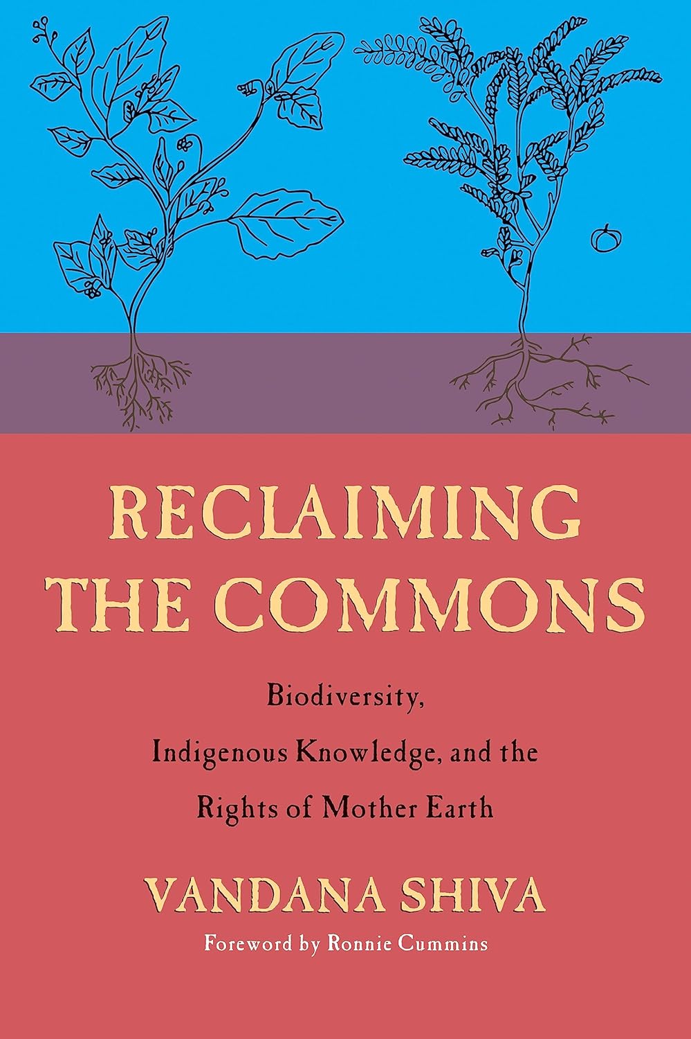 Reclaiming the Commons: Biodiversity, Traditional Knowledge, and the Rights of Mother Earth