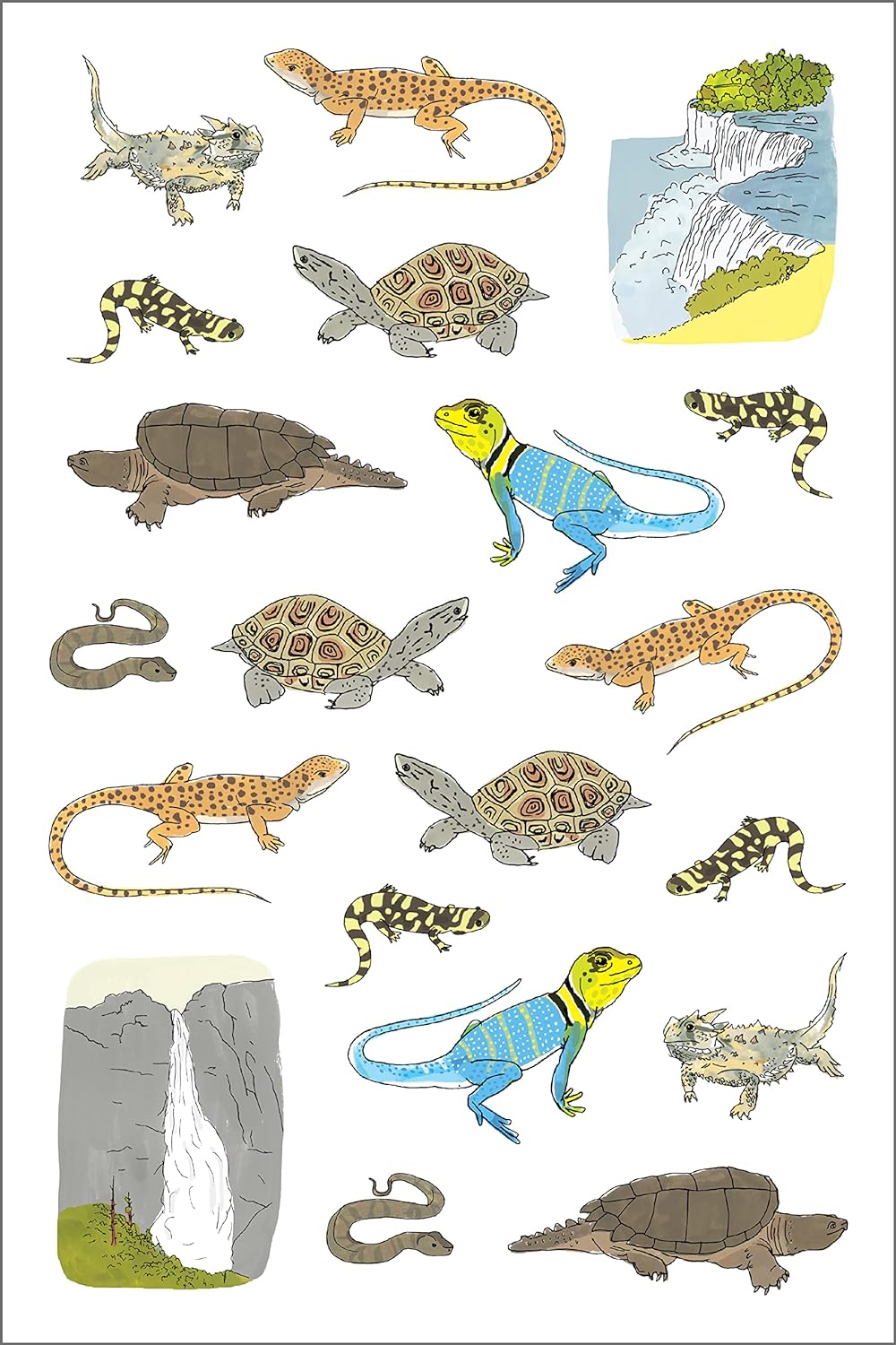Nature Anatomy Sticker Book