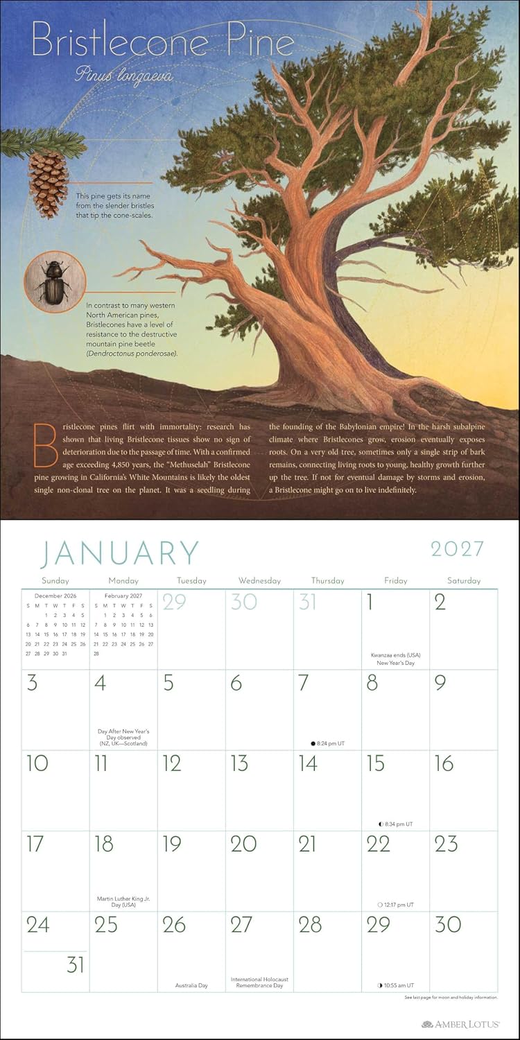 Trees of Life 2027 Wall Calendar