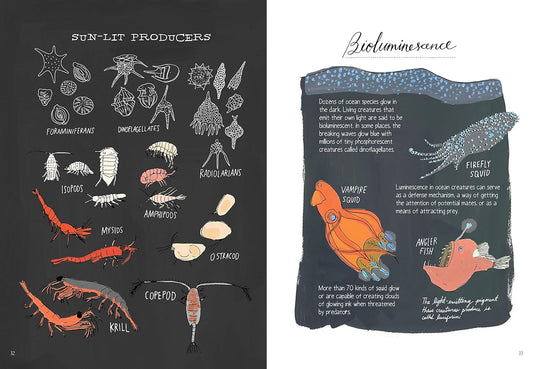 Ocean Anatomy: The Curious Parts & Pieces of the World Under the Sea