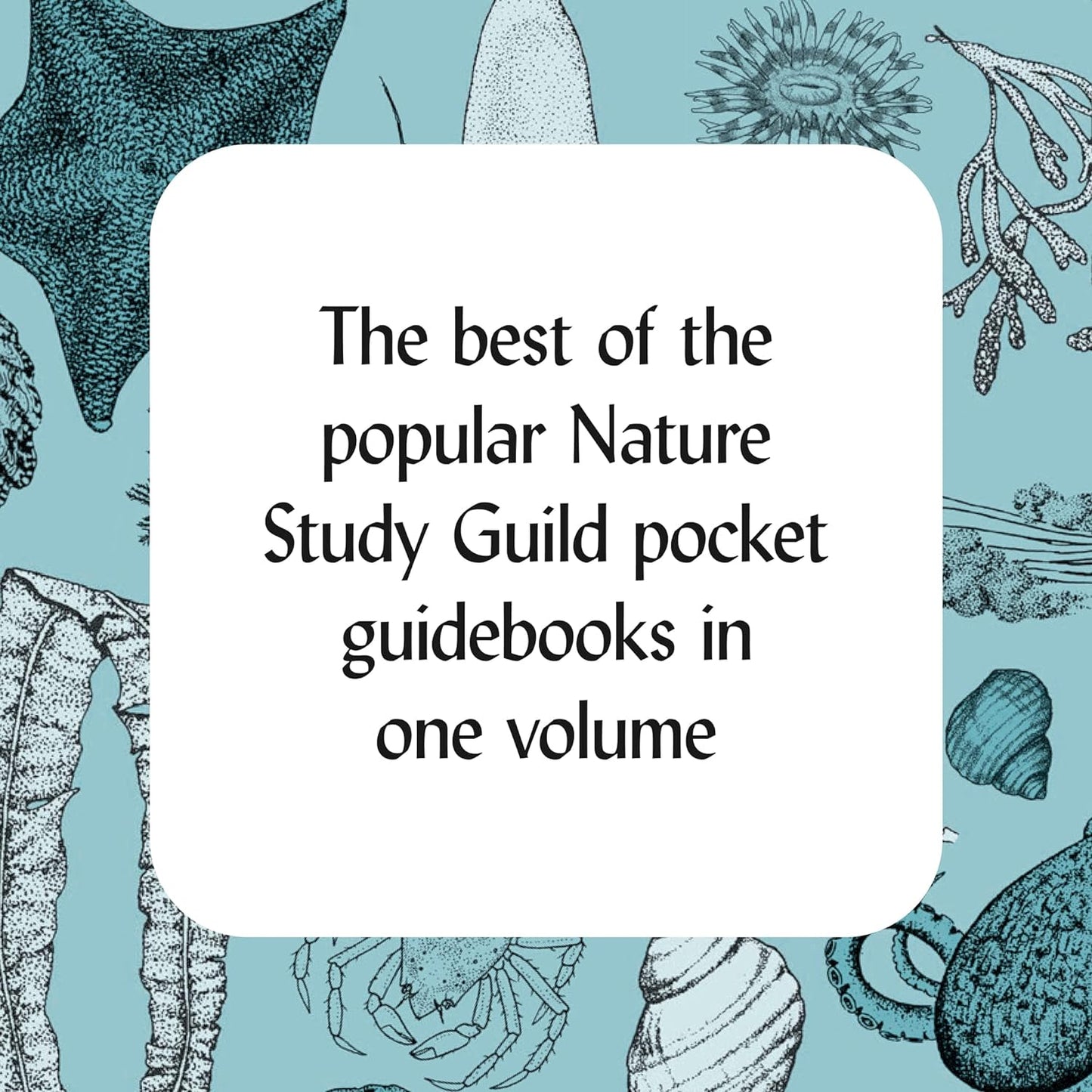 How to Read the Wilderness