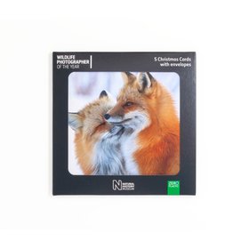 Fox Affection Holiday Boxed Cards