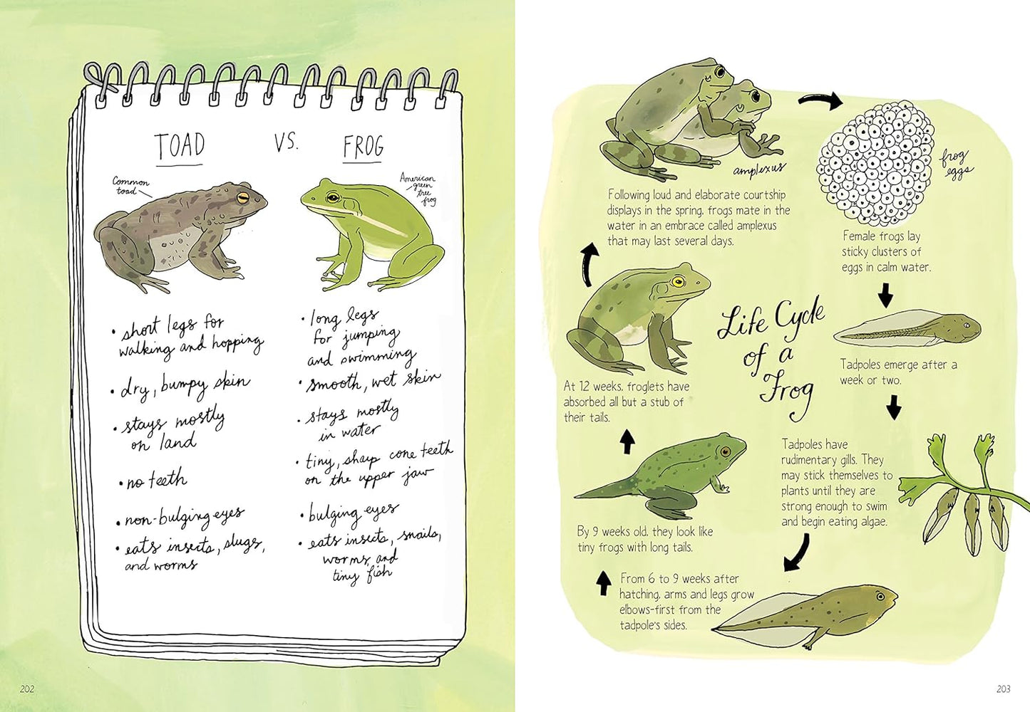 Nature Anatomy: The Curious Parts and Pieces of the Natural World