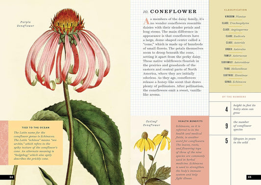 The Little Book of Flowers