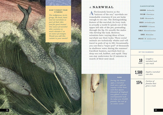 The Little Book of Animals of the Arctic