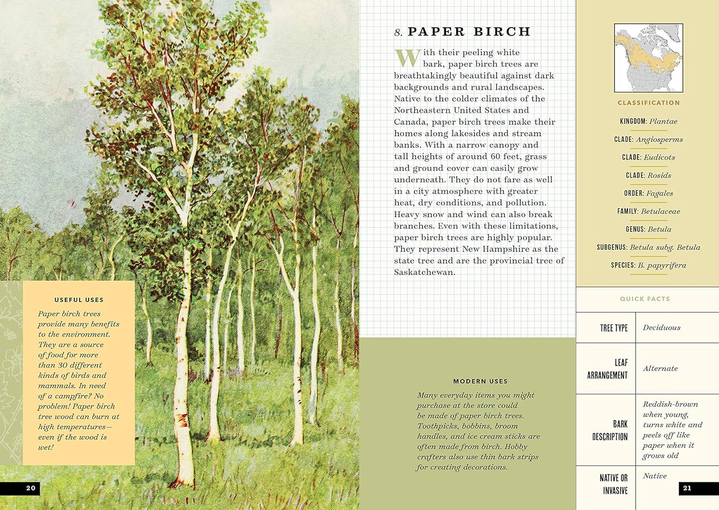 The Little Book of North American Trees