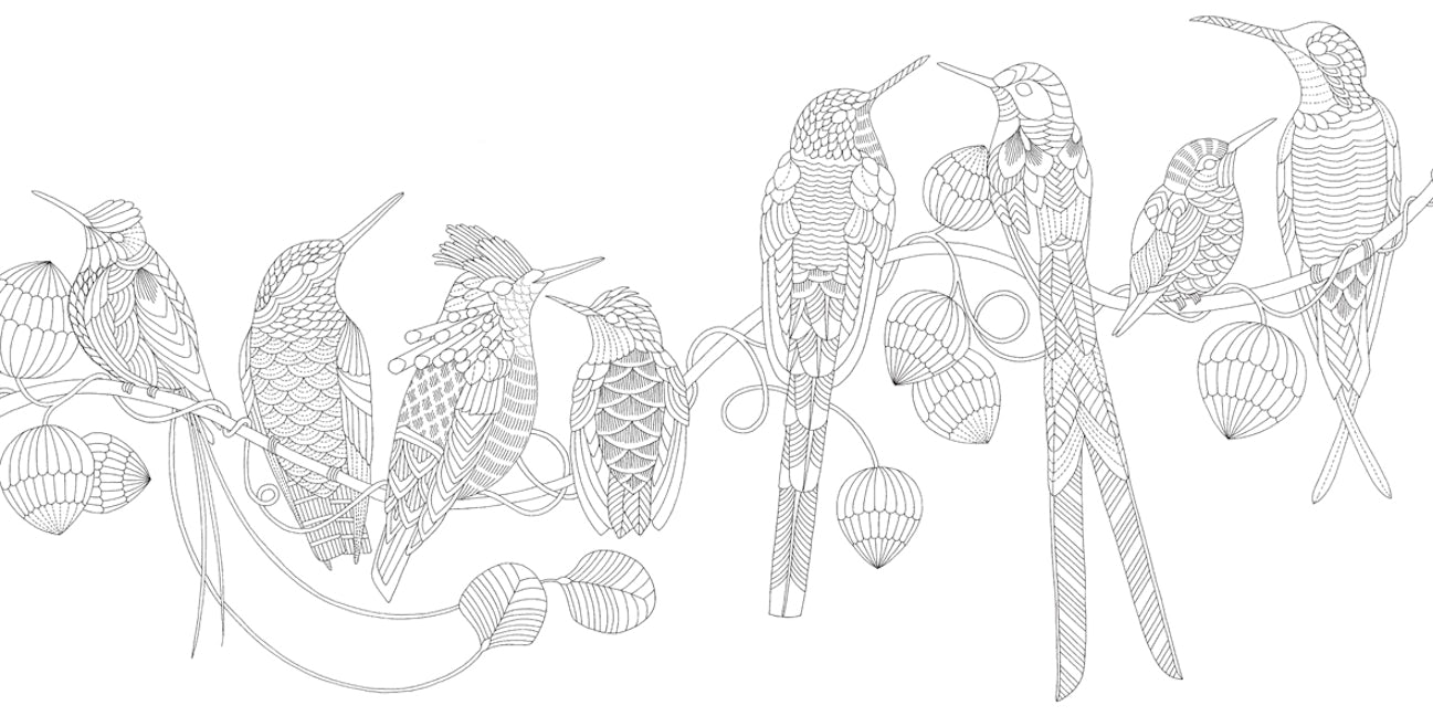 Millie Marotta's Beautiful Birds and Treetop Treasures Coloring Book: Mini Edition