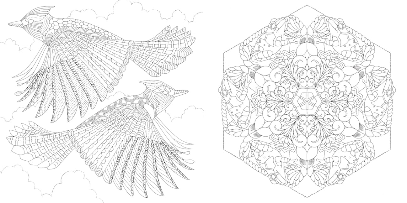 Millie Marotta's Beautiful Birds and Treetop Treasures Coloring Book: Mini Edition