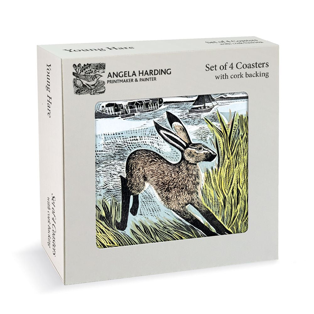 Young Hare Coasters