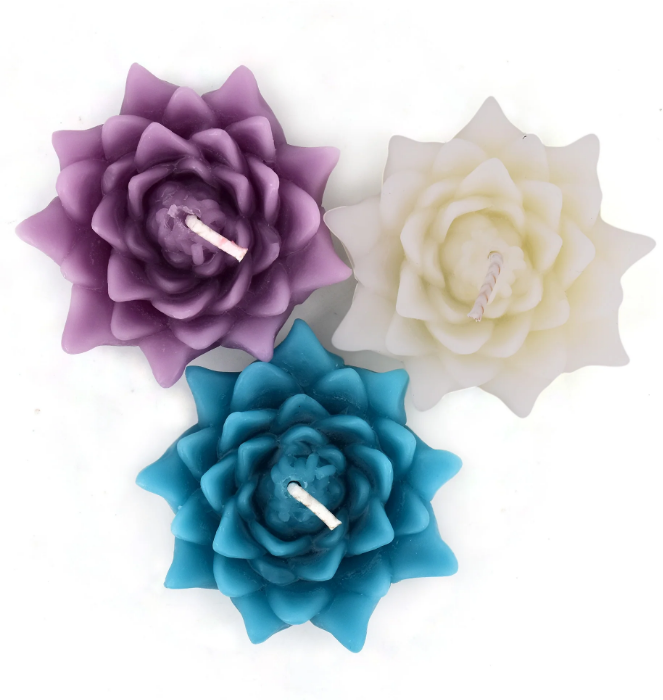 Beeswax Floating Lotus Candle Boxed Set
