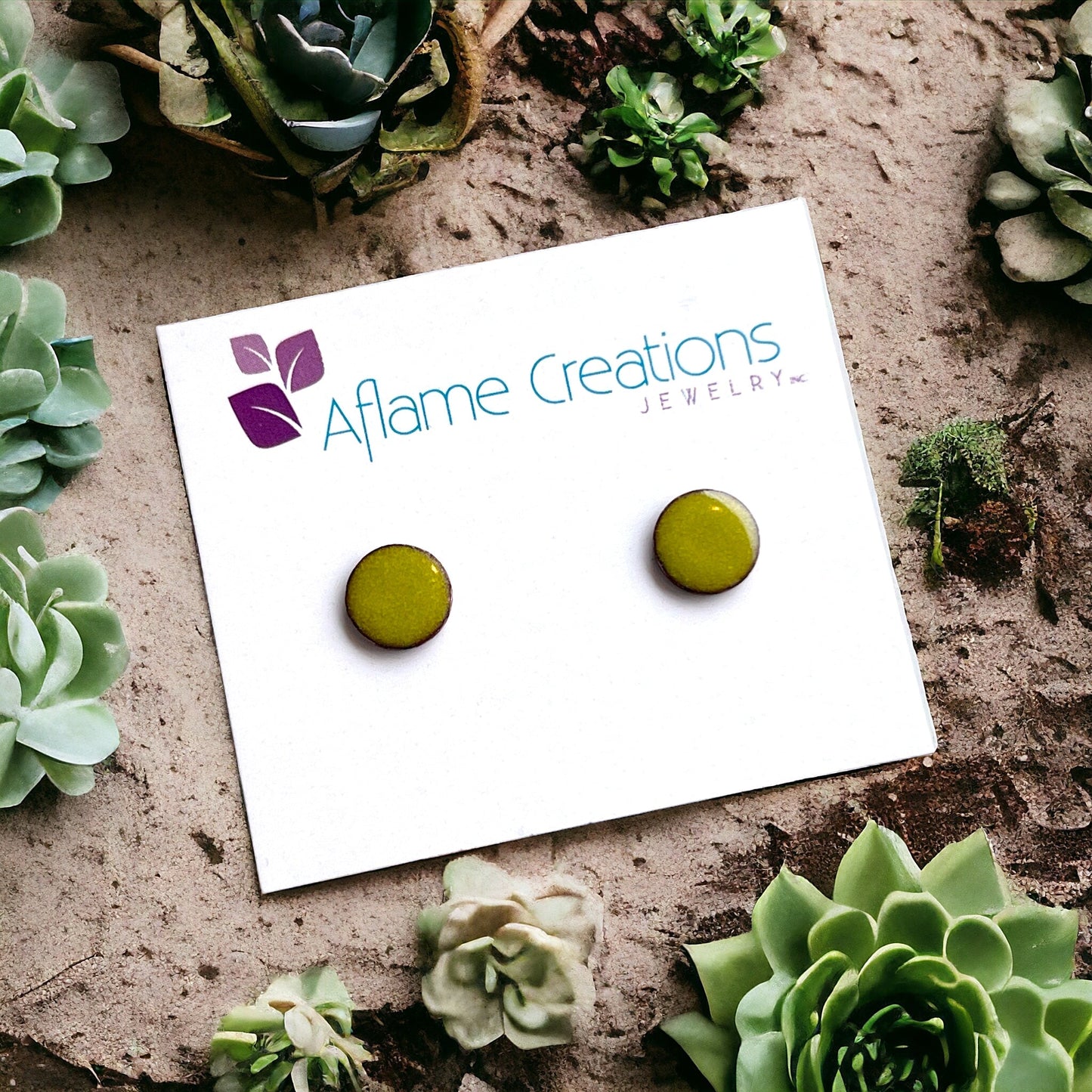 Palette Circle Stud Earrings