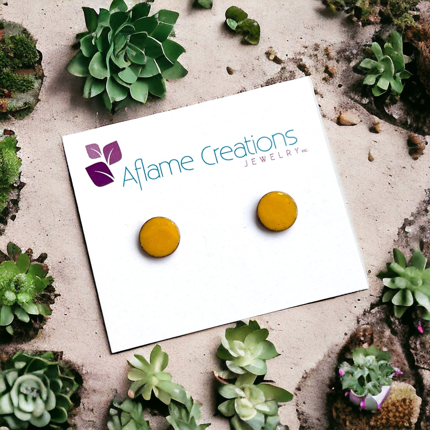 Palette Circle Stud Earrings