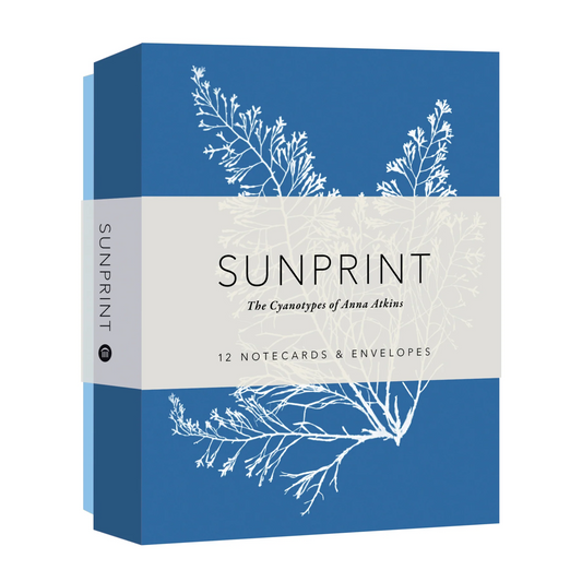 Sunprint Notecards