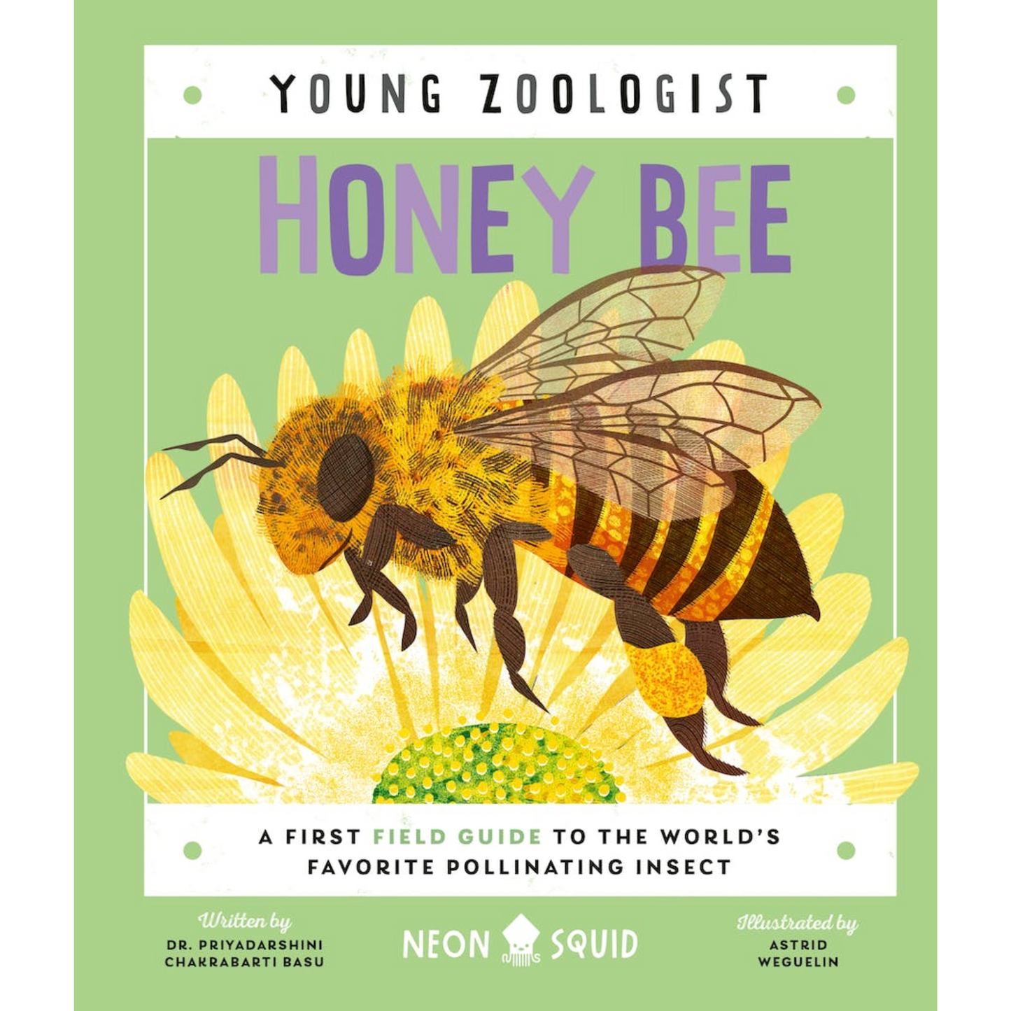 Young Zoologist Honey Bee