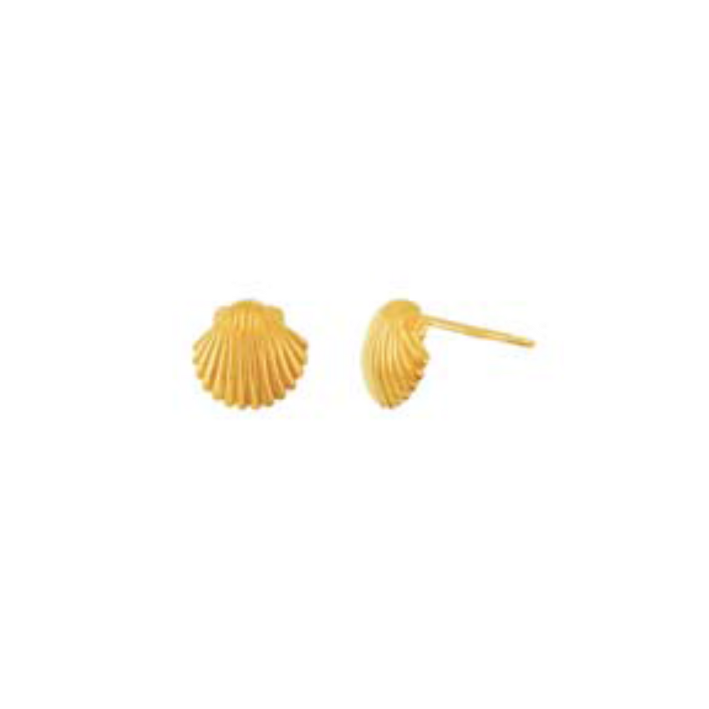 Shell Studs