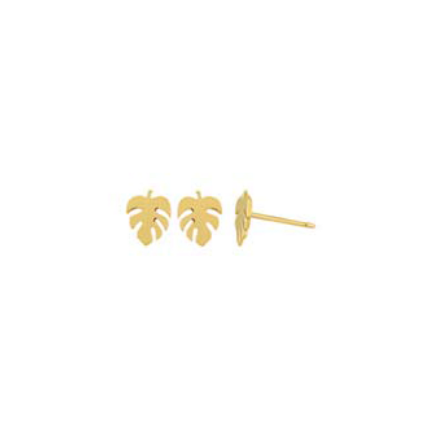 Monstera Studs