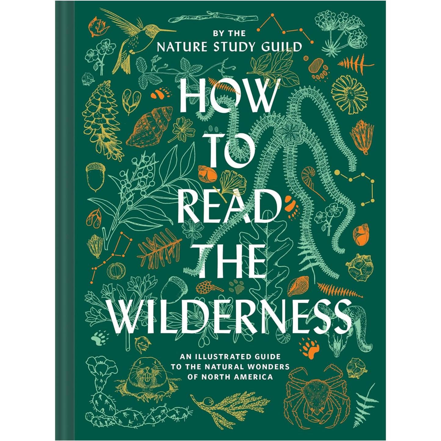 How to Read the Wilderness