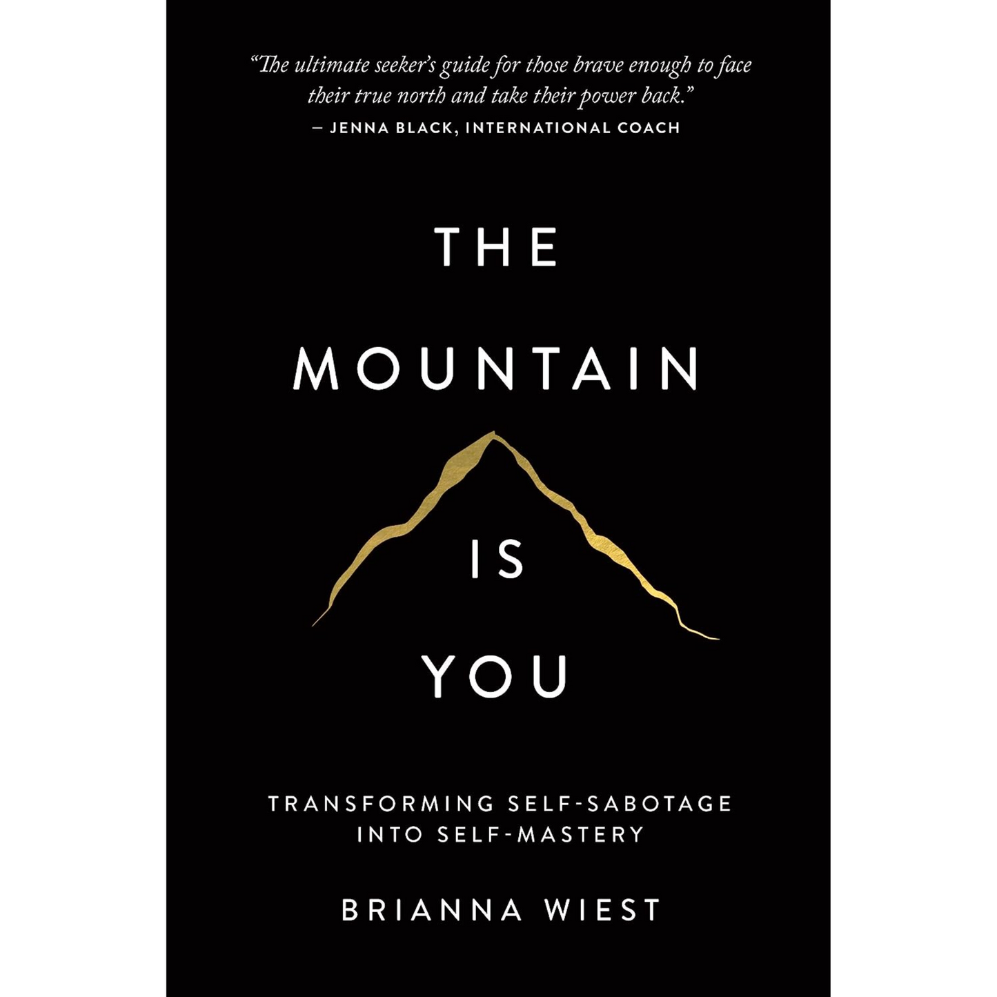 The Mountain Is You: Transforming Self-Sabotage Into Self-Mastery