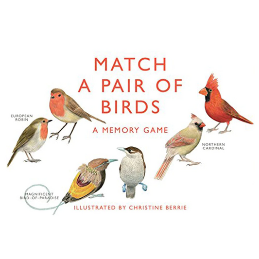 Match a Pair of Birds Memory Game