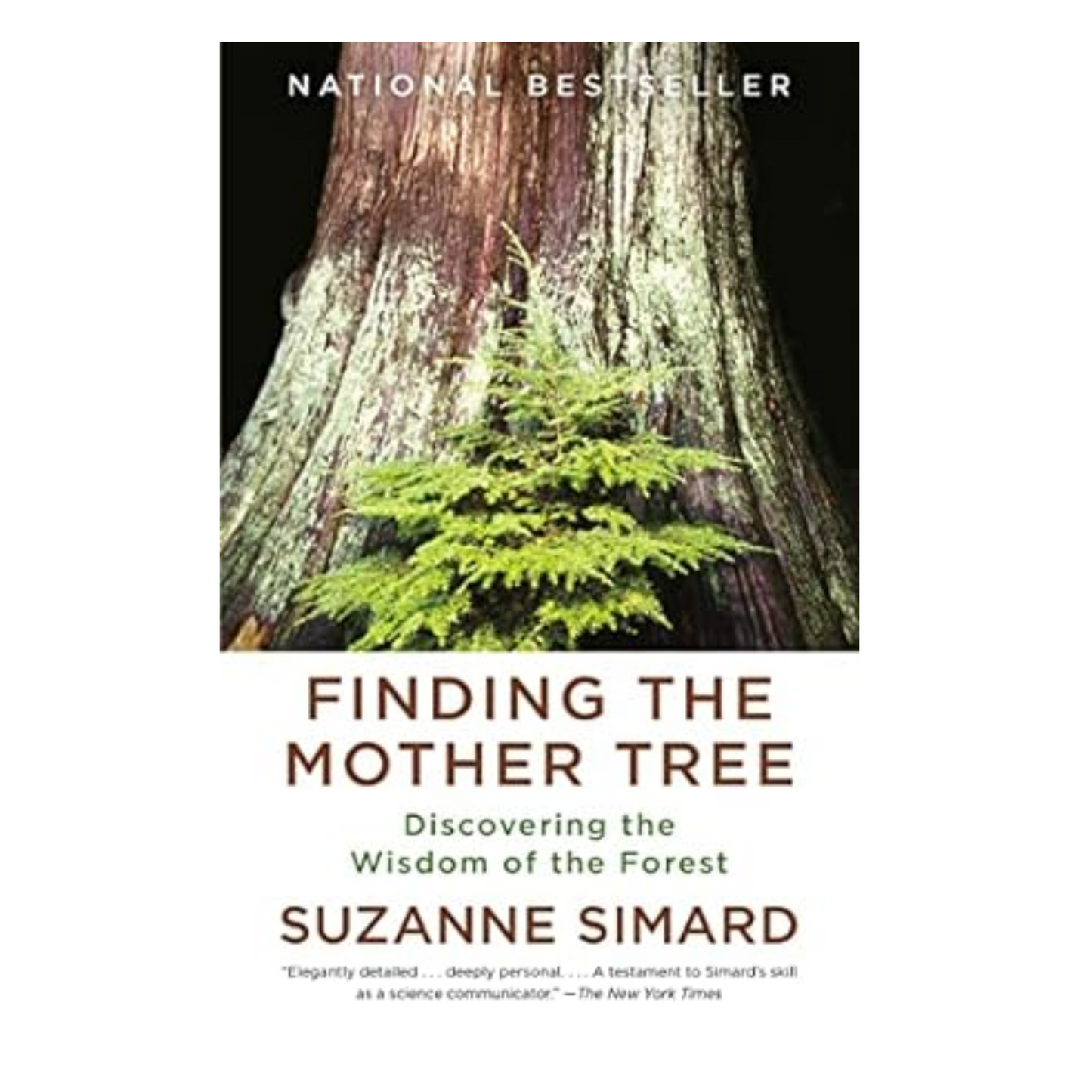 Finding the Mother Tree: Discovering the Wisdom of the Forest