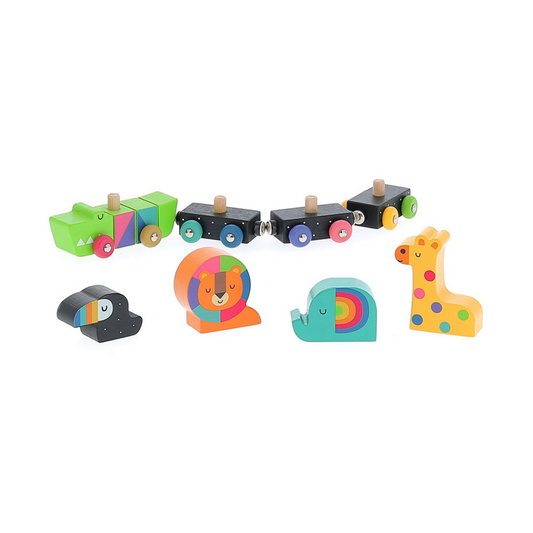 Animal Train Toy