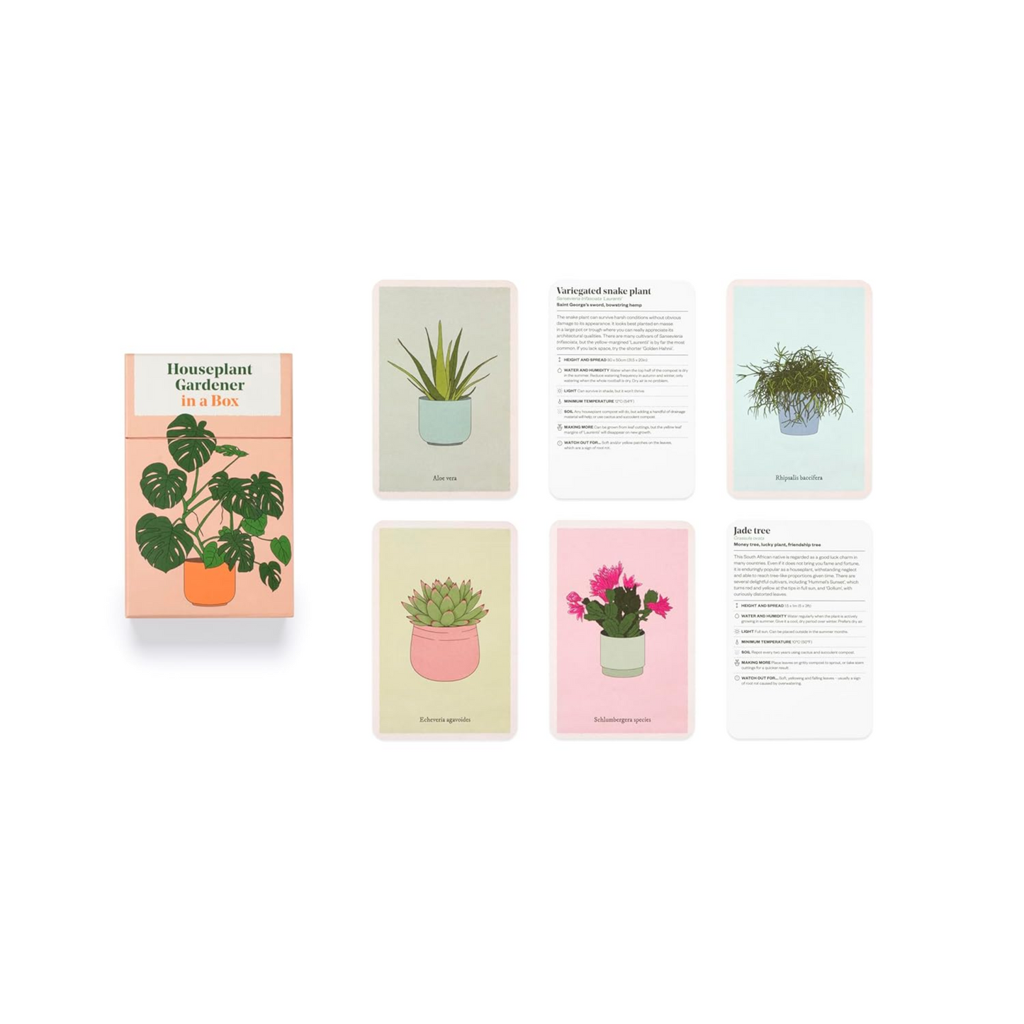Houseplant Gardener in a Box