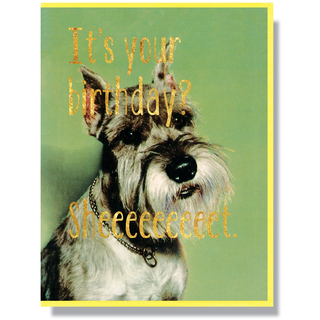 Birthday Sheeeeet Card