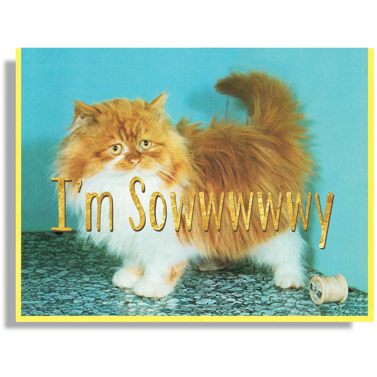 I'm Sowwwwy Card