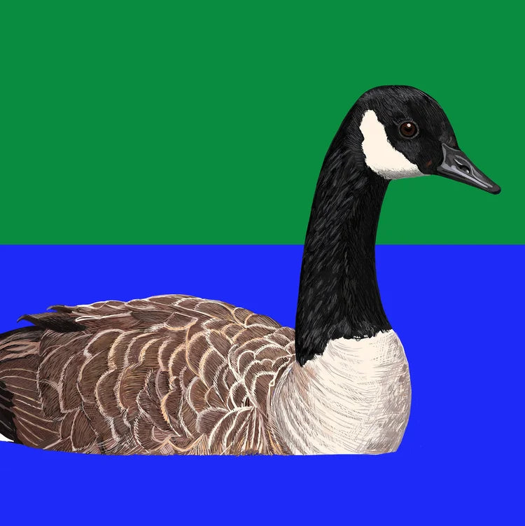 Canada Goose Card