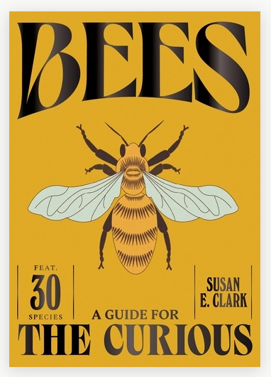 Bees A Guide for the Curious