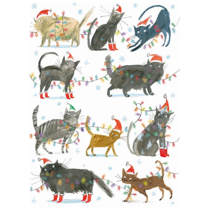 Christmas Cats Holiday Boxed Cards