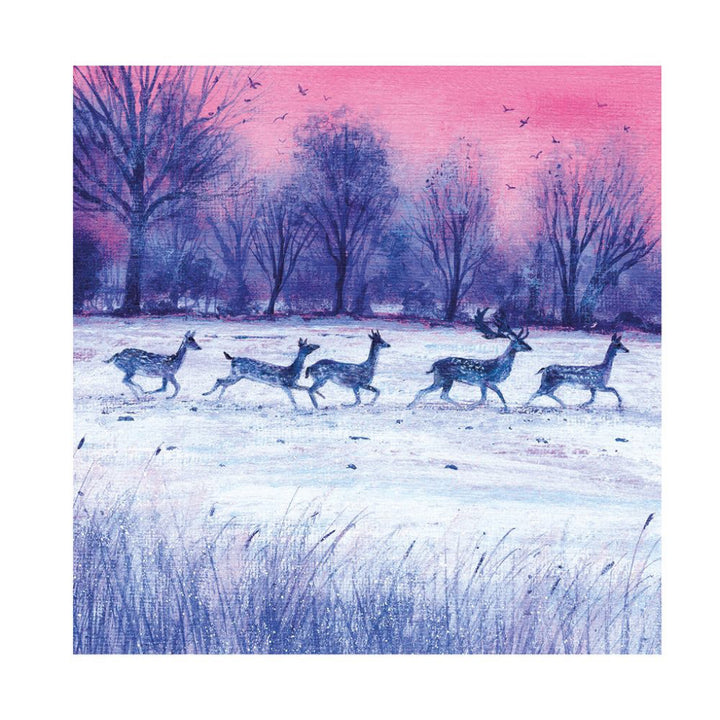Dusk and Dawn Holiday Boxed Cards