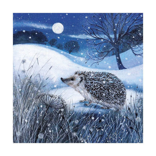 Dusk and Dawn Holiday Boxed Cards