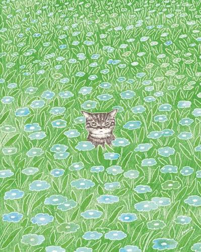 Cat In The Field Card
