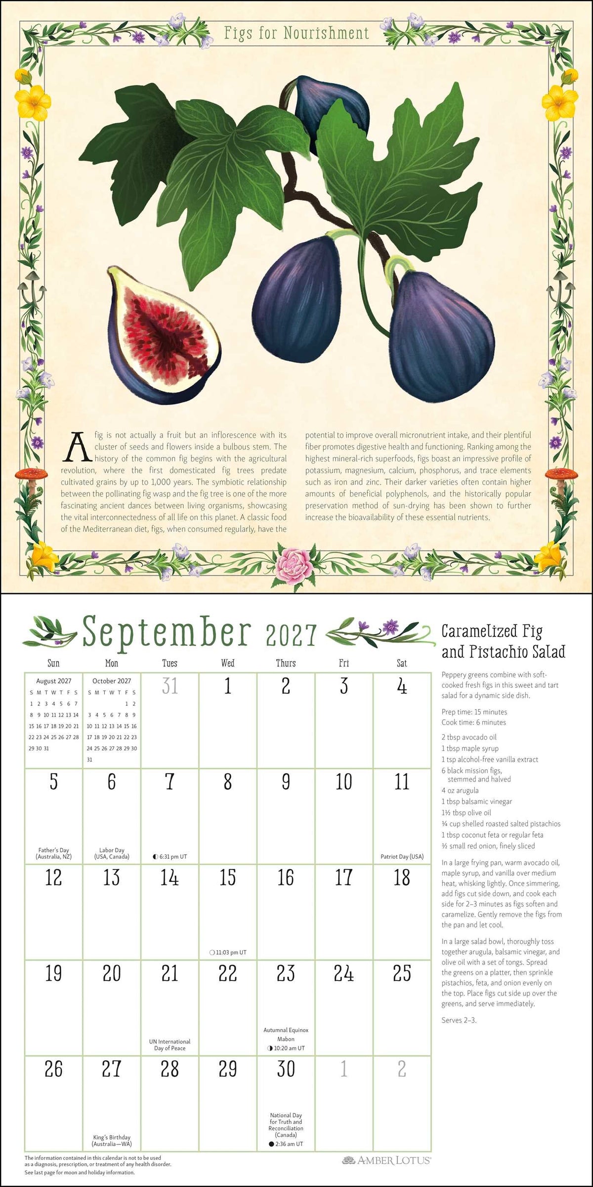 Kitchen Witch 2027 Wall Calendar