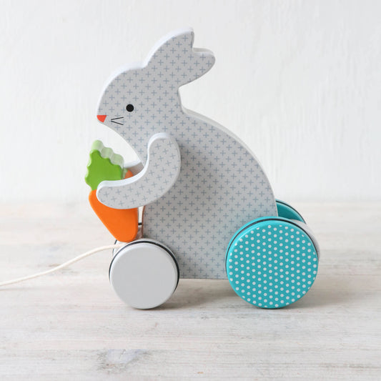 Busy Bunny Pull Along Toy