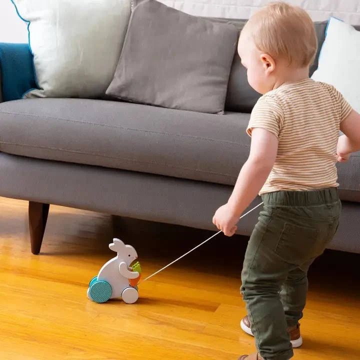 Busy Bunny Pull Along Toy
