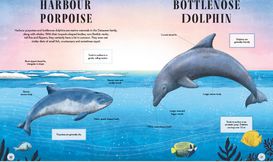 Tell Us Apart - A who's who of confusing animals